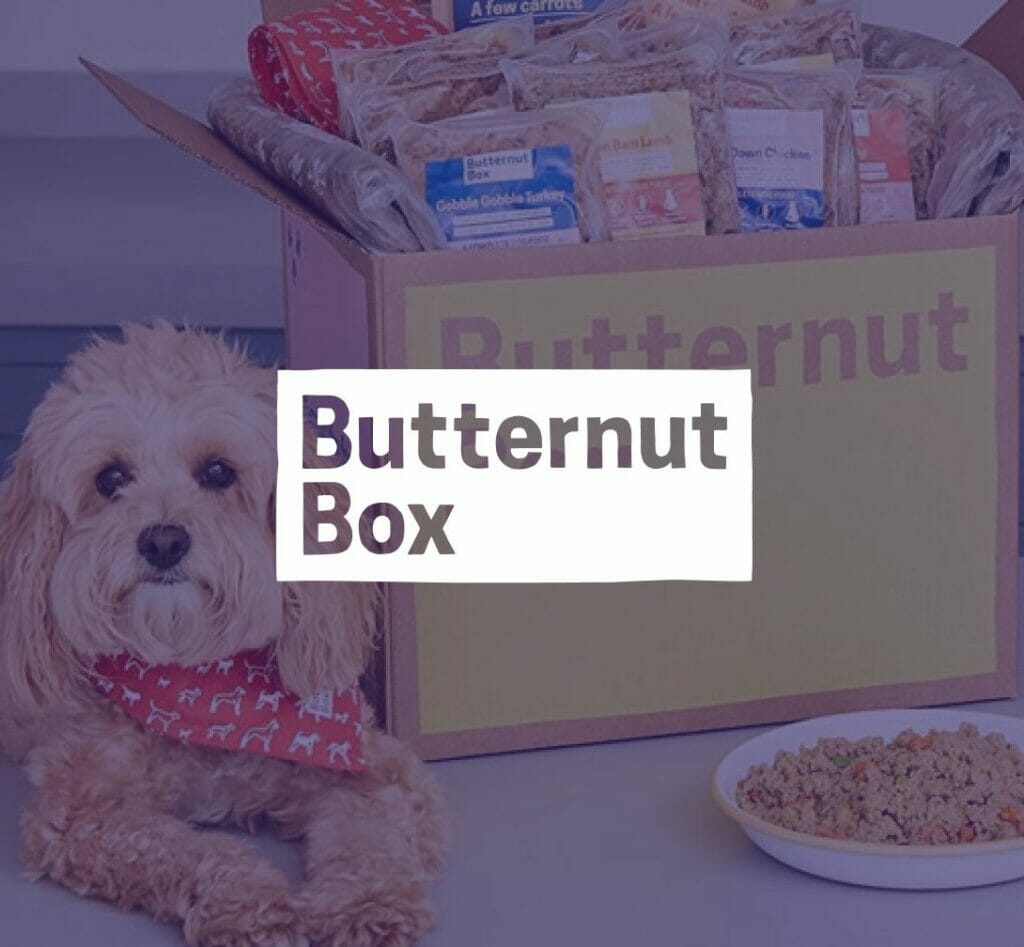 Customer story How Butternut Box uses Dixa